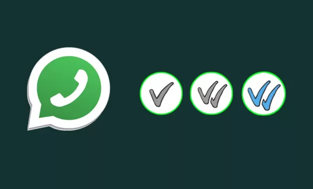 Arti Centang WhatsApp Yang Perlu Anda Ketahui