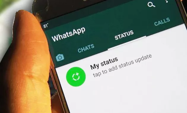 Cara Download Status WhatsApp Dengan Mudah