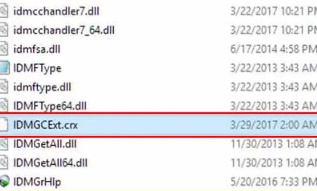 Cari File Ini Di Folder IDM Lalu Pindahkan Ke Chrome