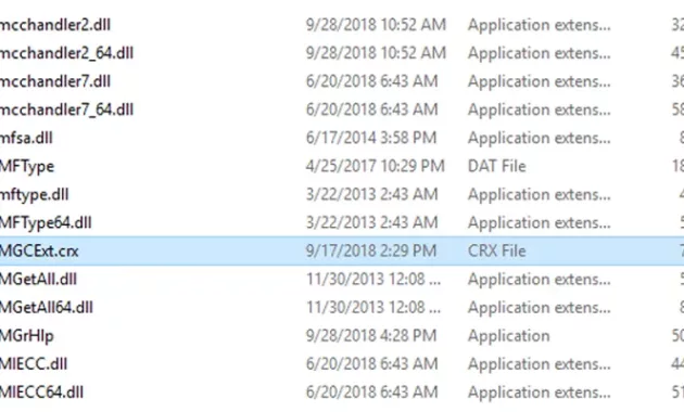Temukan File IDMGCExt.crx Di Dalam Folder Internet Download Manager