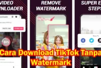 Download TikTok Tanpa Watermark Kualitas Terbaik