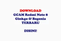 Download GCAM Redmi Note 8 Ginkgo Begonia TERBARU Urnyx05 Parrot dan Nikita
