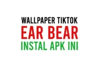 Cara Menggunakan Aplikasi Untuk Membuat Ear Bear Wallpaper TikTok Yang Viral Untuk HP Android dan iPhone (iOS) Dengan Mudah