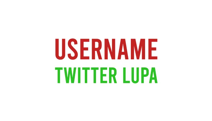 Cara Mengetahui Username Twitter Yang Lupa