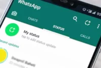 Cara Melihat Status Yang Di Privasi di WhatsApp GB (WA GB)