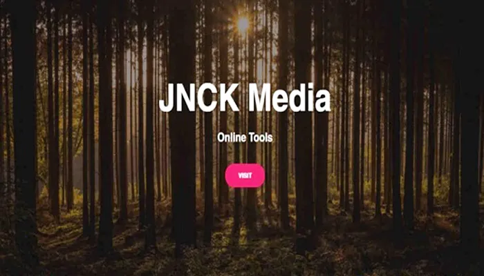 Cara Mengatasi Jnck Media Error Tidak Bisa Digunakan Untuk Melihat Aktivitas Instagram